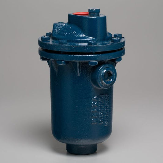 Armstrong 2" 216 250#, NPT