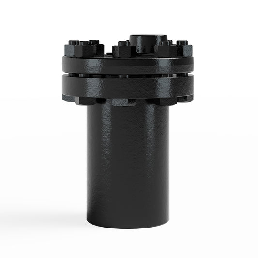 Armstrong 2" 416 125#, NPT